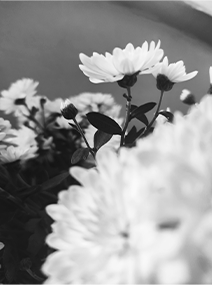 Arreglo de flores blancas